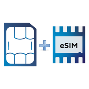 nano-SIM + eSIM — глобальная версия