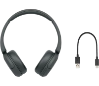 Беспроводные наушники Sony WH-CH520 Black