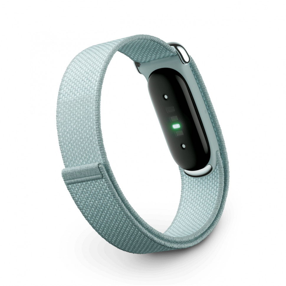 Google Fitbit Air — умный трекер | Fog (дымчатый)