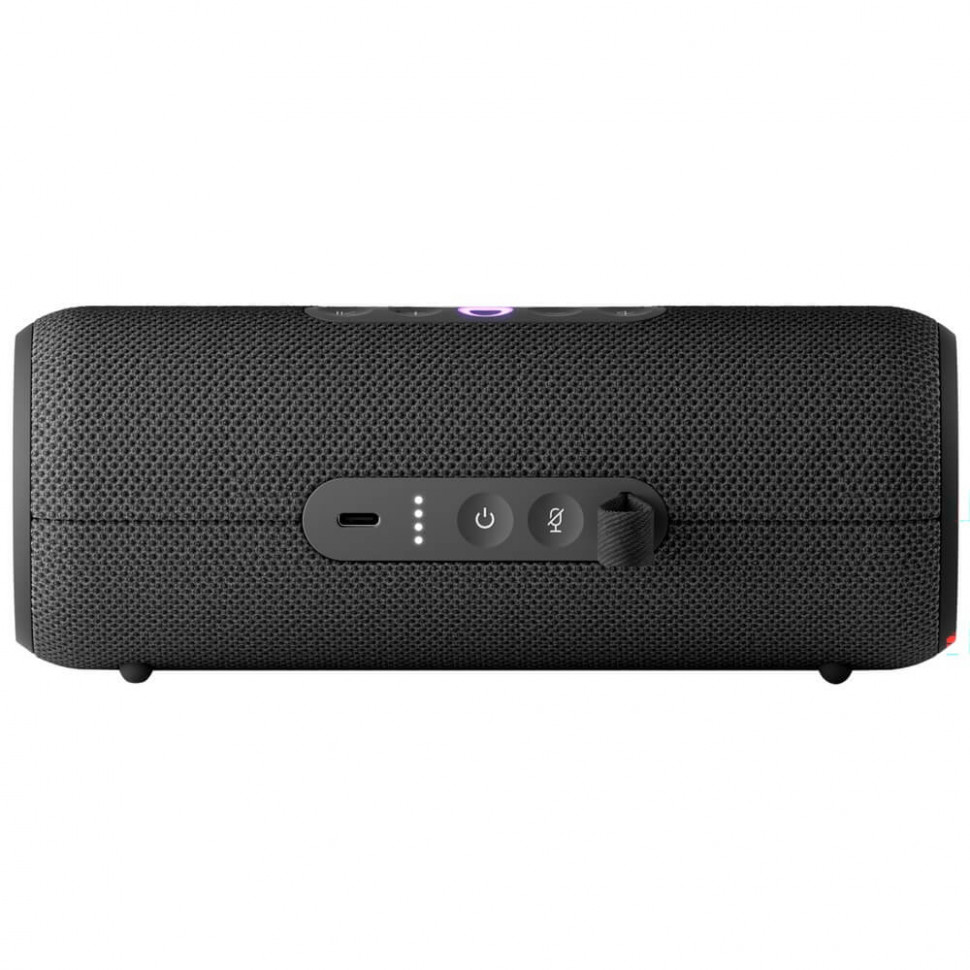 Умная портативная колонка Яндекс Станция Стрит с Алисой (Black)